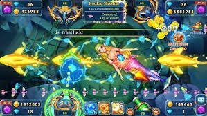 xocdia8